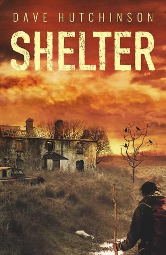 Cover image for Shelter