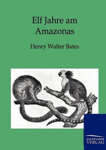 Cover image for Elf Jahre am Amazonas