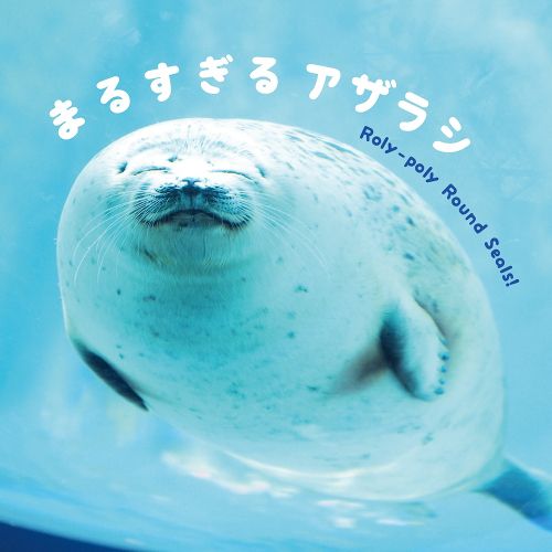 Cover image for Roly Poly Round Seals