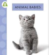 Cover image for Animal Babies