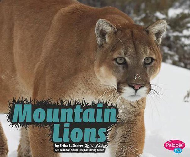 Cover image for Mountain Lions