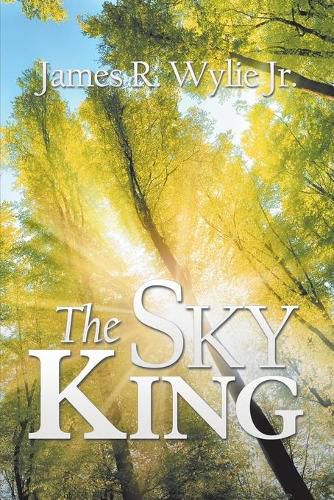 Cover image for The Sky King