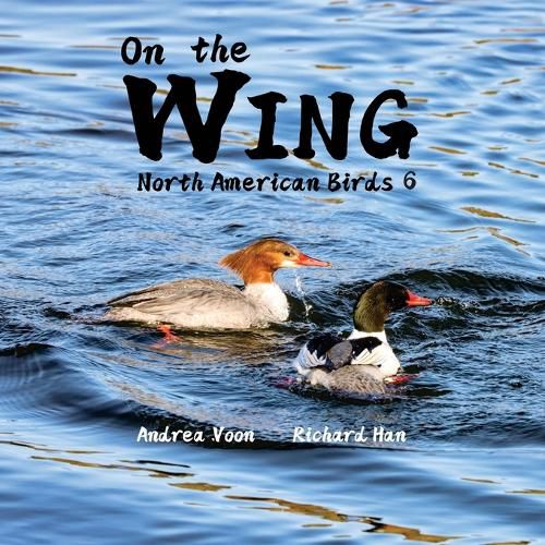 Cover image for On the Wing - North American Birds 6