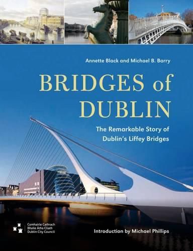 Bridges of Dublin: The Remarkable Story of Dublin's Liffey Bridges