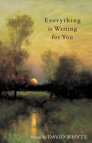 Cover image for Everything Is Waiting for You