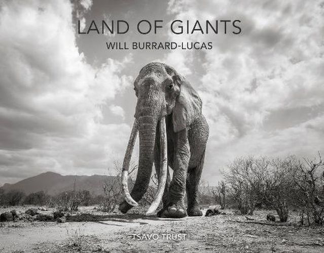 Cover image for Land of Giants