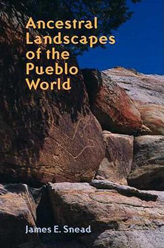 Cover image for Ancestral Landscapes of the Pueblo World