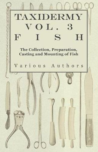 Cover image for Taxidermy Vol.3 Fish - The Collection, Preparation, Casting and Mounting of Fish