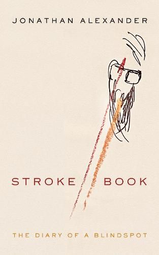 Stroke Book: The Diary of a Blindspot