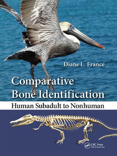 Cover image for Comparative Bone Identification: Human Subadult to Nonhuman