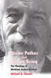 Cover image for Divine Pathos and Human Being: The Theology of Abraham Joshua Heschel