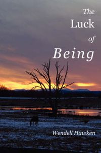 Cover image for The Luck of Being