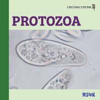 Cover image for Protozoa