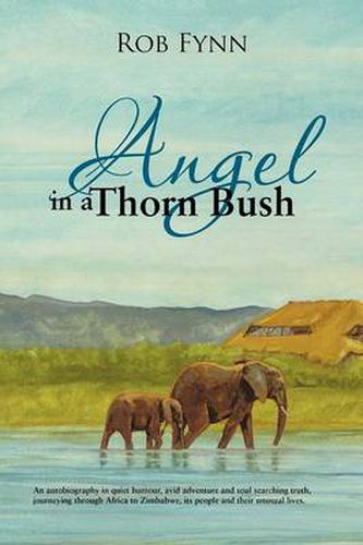 Cover image for Angel in a Thorn Bush