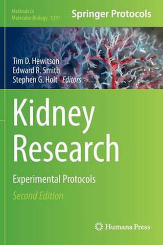 Kidney Research: Experimental Protocols