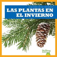 Cover image for Las Plantas En El Invierno (Plants in Winter)