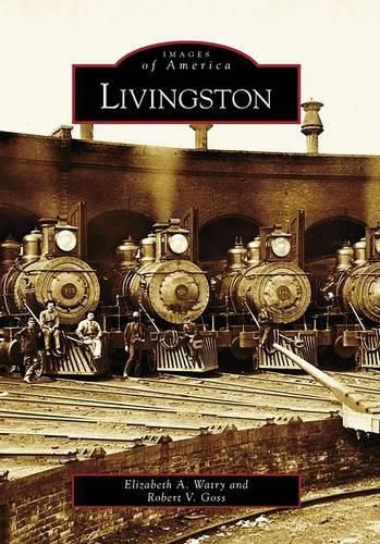 Cover image for Livingston