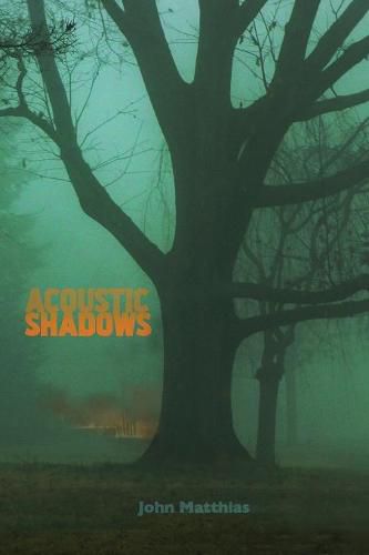 Cover image for Acoustic Shadows