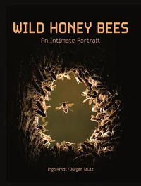 Cover image for Wild Honey Bees: An Intimate Portrait