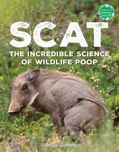 Cover image for Scat