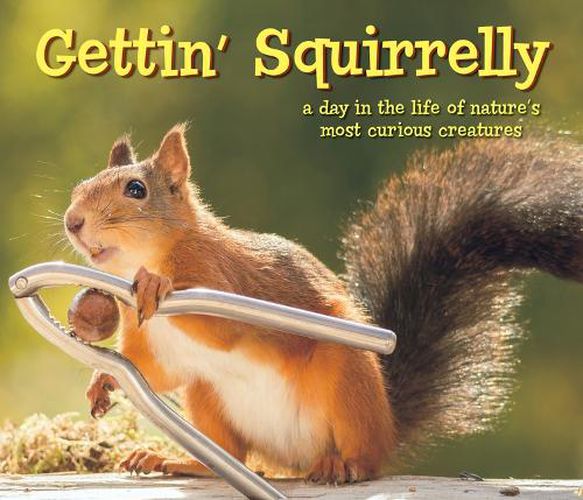Cover image for Gettin Squirrelly Hardcover Gift Book