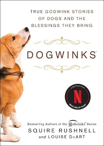 Cover image for Dogwinks: Volume 6